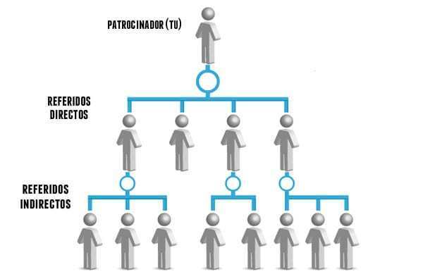 Tipos de referidos