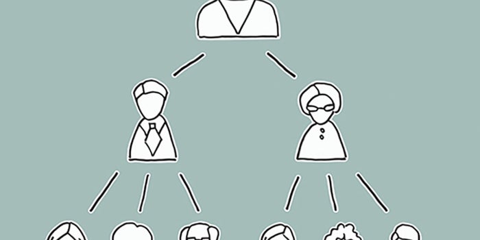 Multinivel Cómo funciona